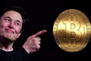 团长和比特币的区别 团长和比特币的区别在哪