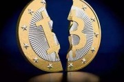 永恒之蓝支付比特币的简单介绍