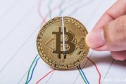 比特币的交易类型 比特币的交易类型是什么