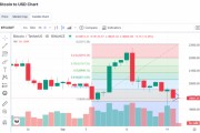 包含英文比特币价格预测模型的词条