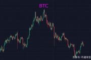 比特币如何看涨跌技术 如何看待比特币的暴涨暴跌