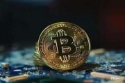 比特币中马勒个比 我想了解一下比特币