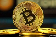 关于比特币里的t币是什么的信息