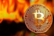 比特币美国财政部 美国财务部 比特币