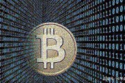 比特币已经开发多少了 比特币开发者有多少比特币