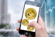 央行副行长谈比特币狗狗币 狗狗币是不是为了嘲讽比特币