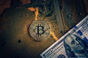 比特币金融变性人 比特币金融变性人是真的吗