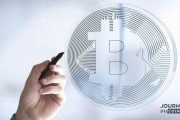 包含通速地解释比特币的词条