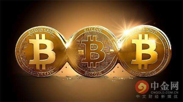 比特币有哪几种 比特币有哪几种类型