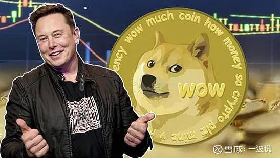 包含为什么比特币跌狗狗币涨的词条