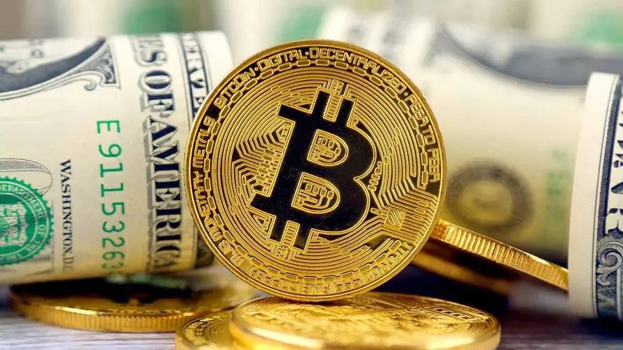像比特币的币种有哪些 像比特币的币种有哪些种类