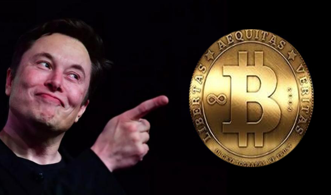 团长和比特币的区别 团长和比特币的区别在哪