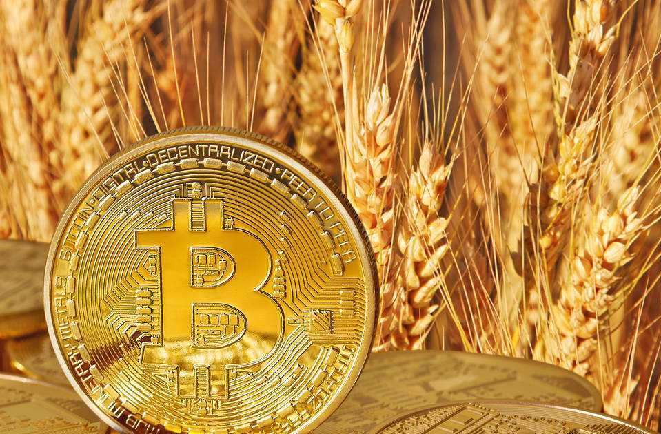 比特币能买了不动吗 比特币现在不能买了吗