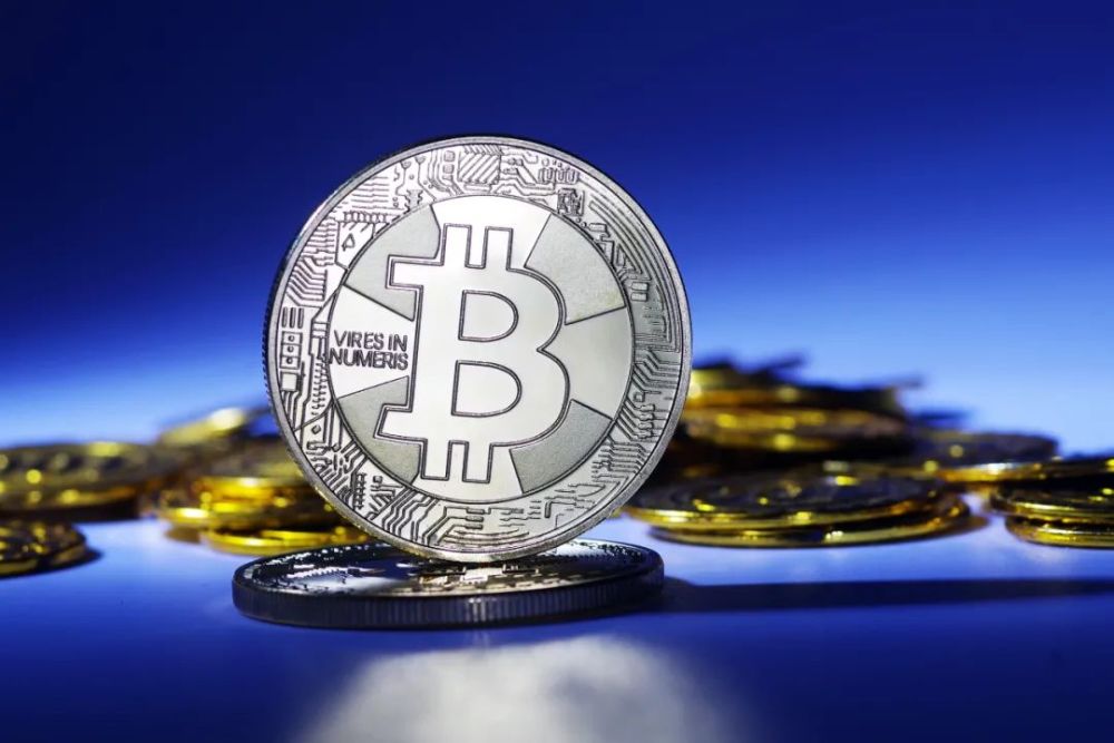 虎成论金比特币 比特币 老虎证券