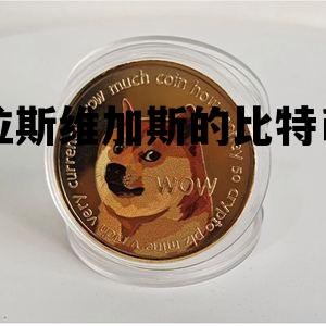 拉斯维加斯的比特币 拉斯维加斯用的是什么币