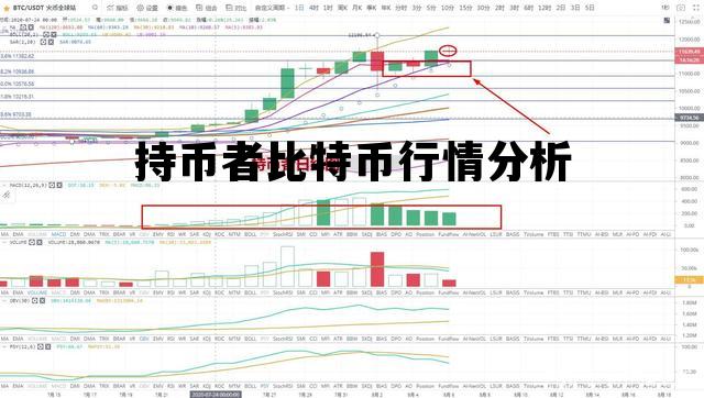 持币者比特币行情分析 持币者比特币行情分析图