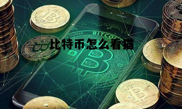 比特币怎么看猫 比特币怎么看猫的价格