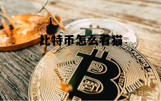 比特币怎么看猫 比特币怎么看猫的价格