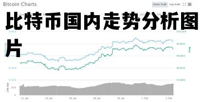比特币国内走势分析图片 币看比特币实时行情走势图
