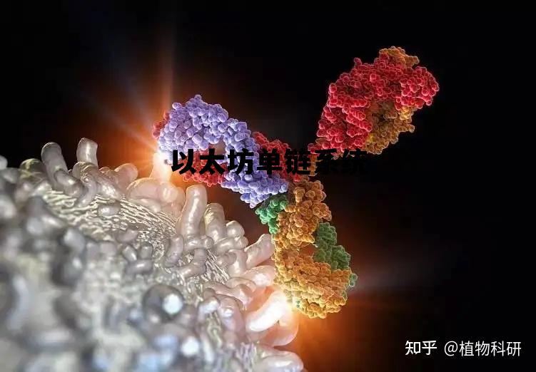 以太坊单链系统 以太坊数据上链实现